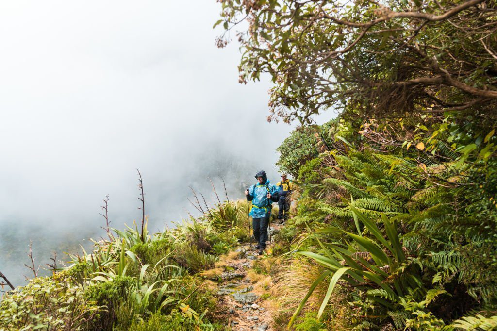 Travel to New Zealand