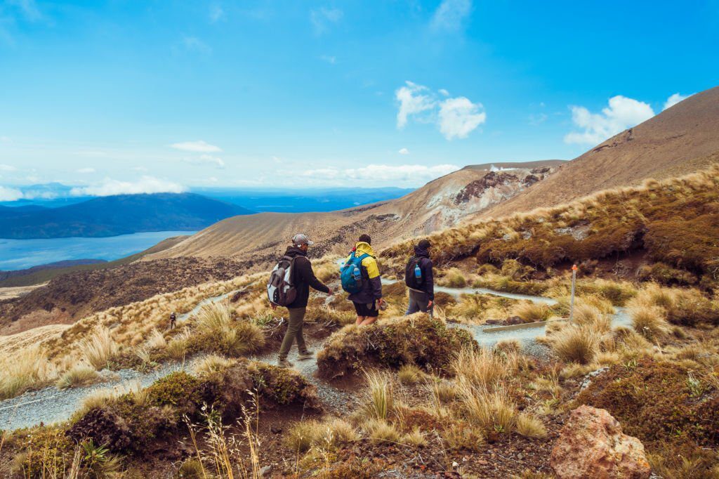 Travel to New Zealand