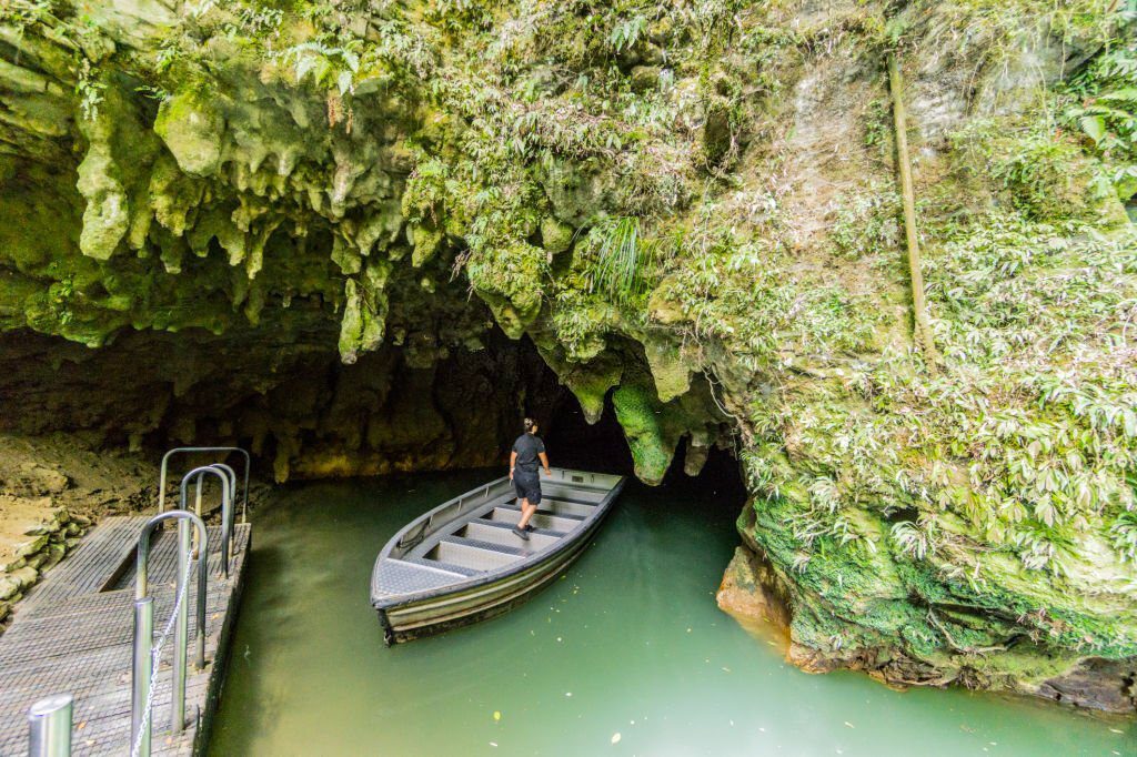Travel to New Zealand