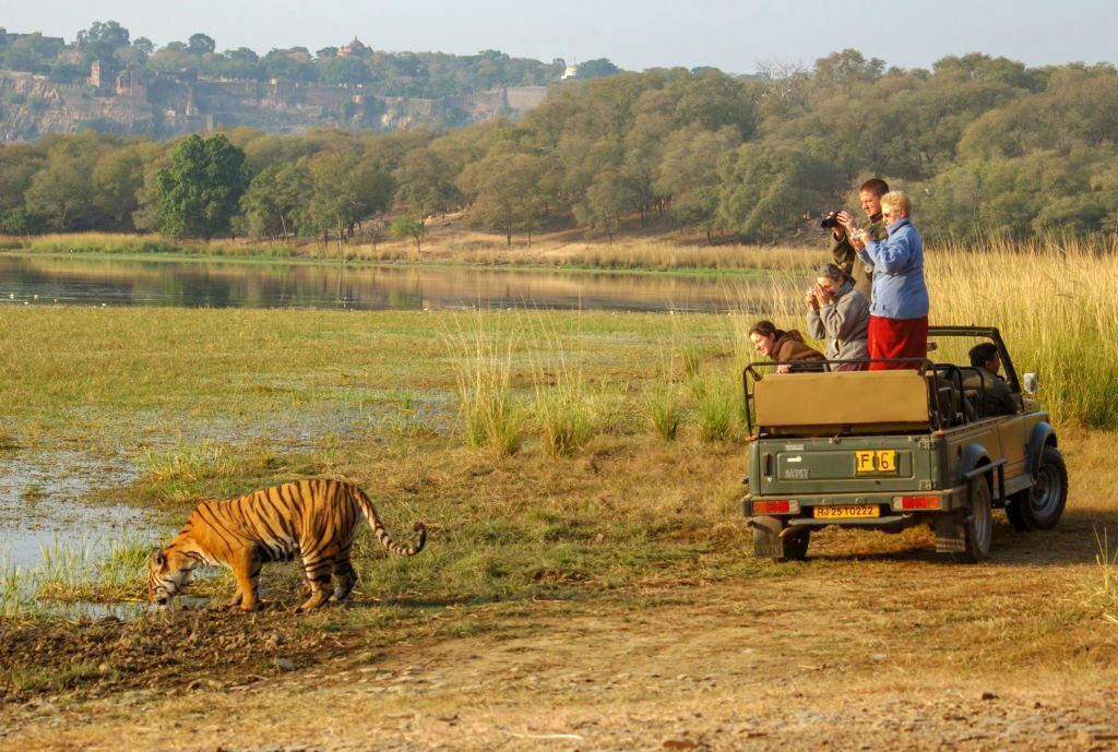 Indian national parks and wildlife sanctuaries tripowe