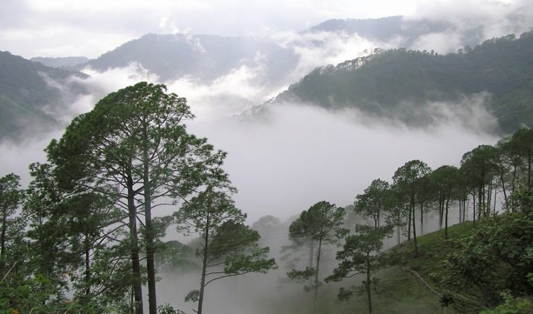 Lambasingi, tripowe.com