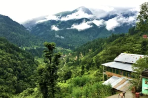 Kasol. tripowe