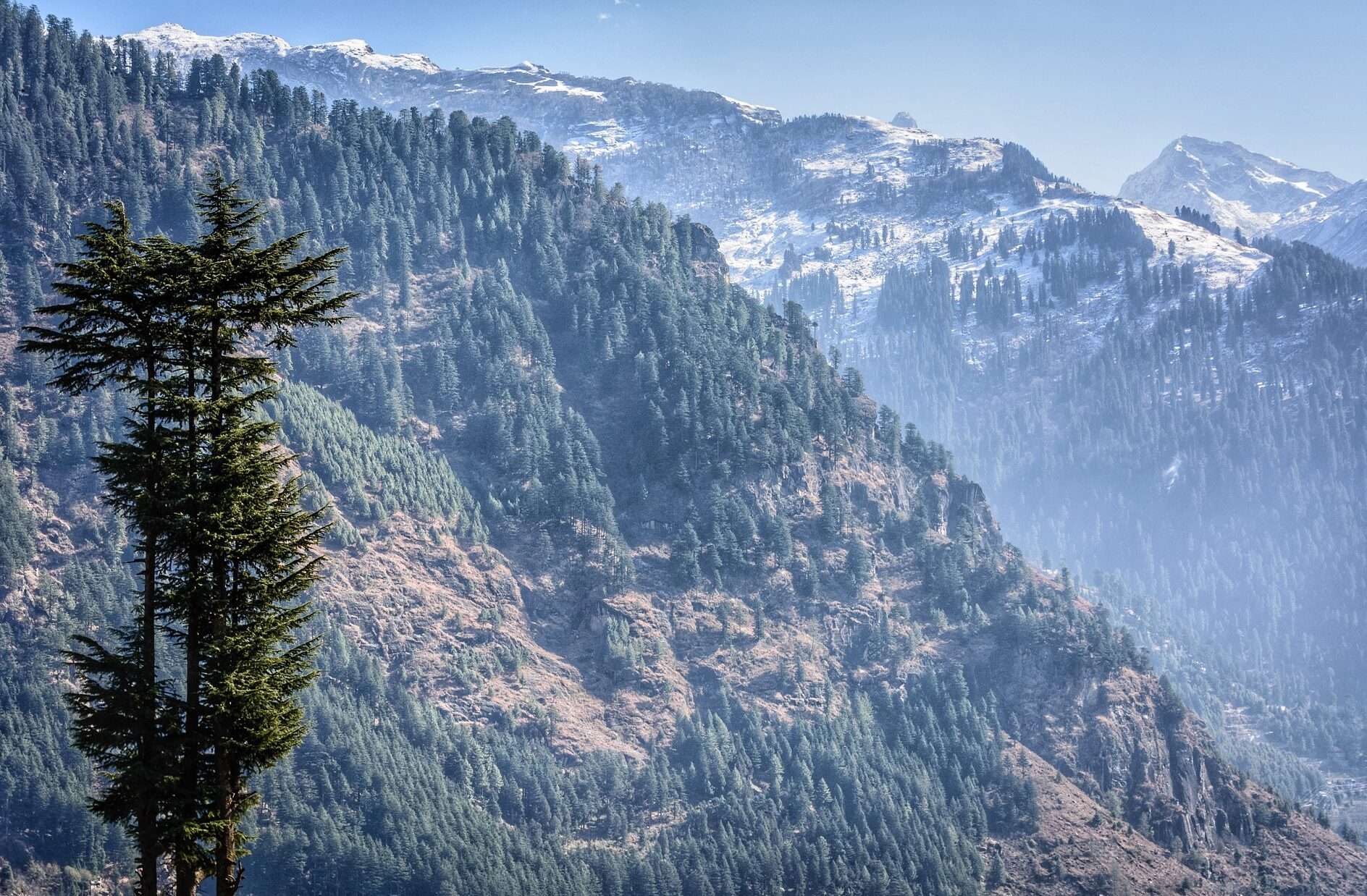 Kullu Amritsar