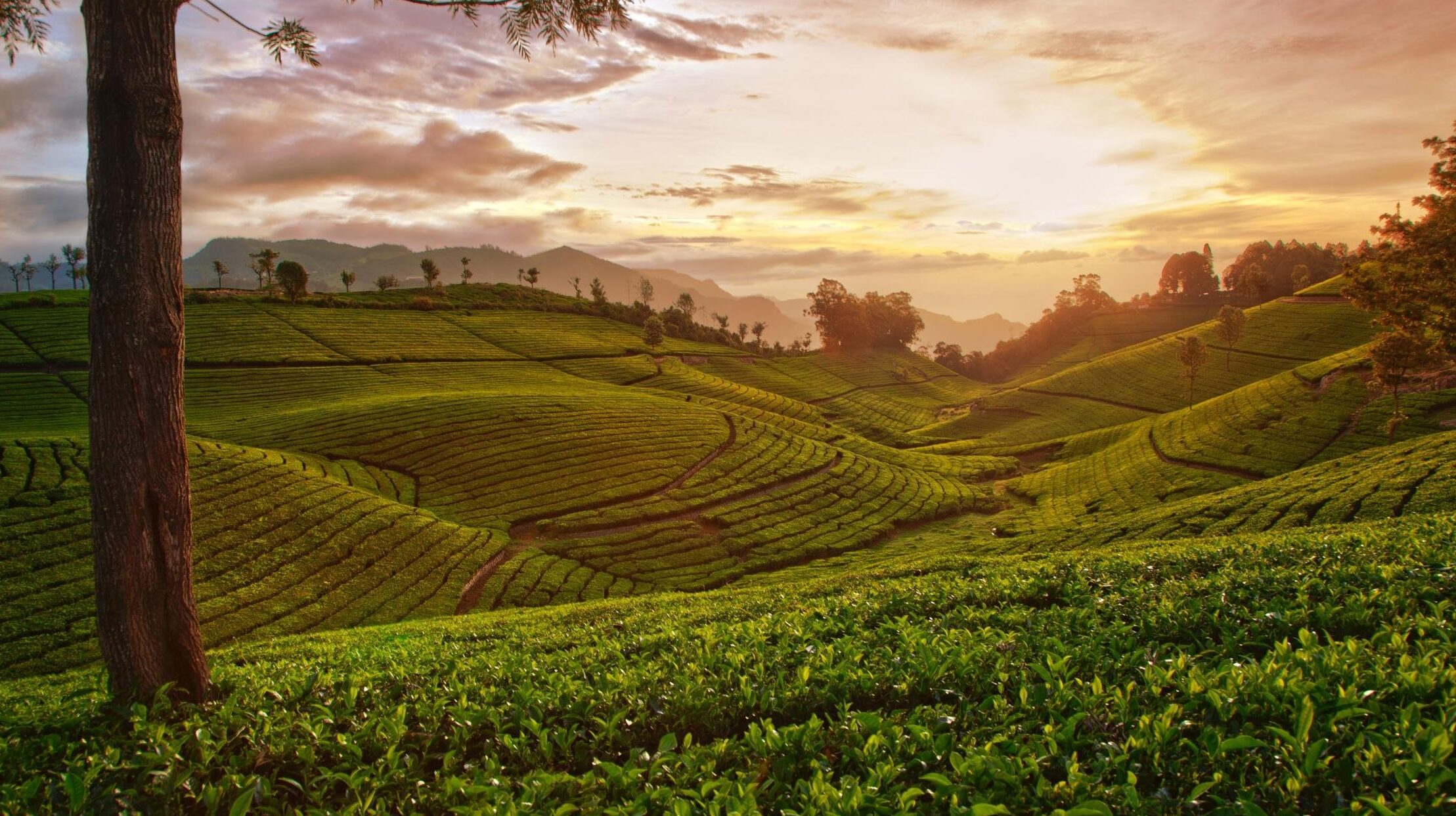 Chikmagalur