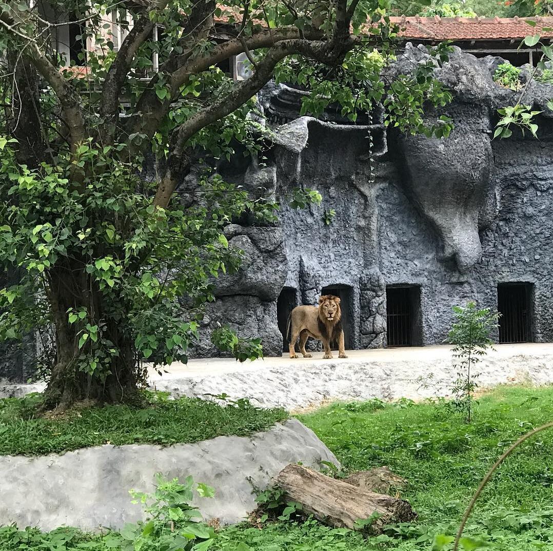 Kolkata Alipore Zoo