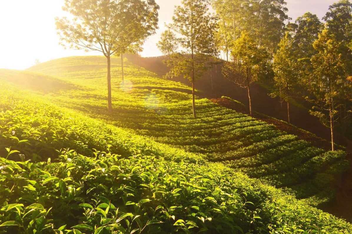 Chikmagalur Karnataka has beautiful weather