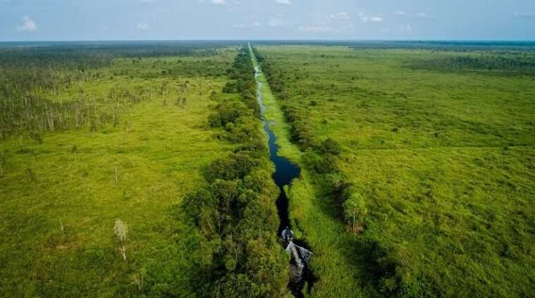 Efforts to Preserve and Restore
