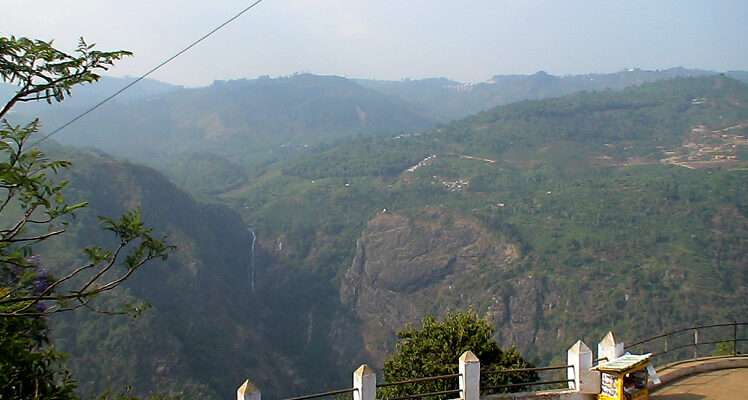 Dolphin and Nose Hill Indore