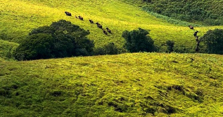 Park Kudremukh National