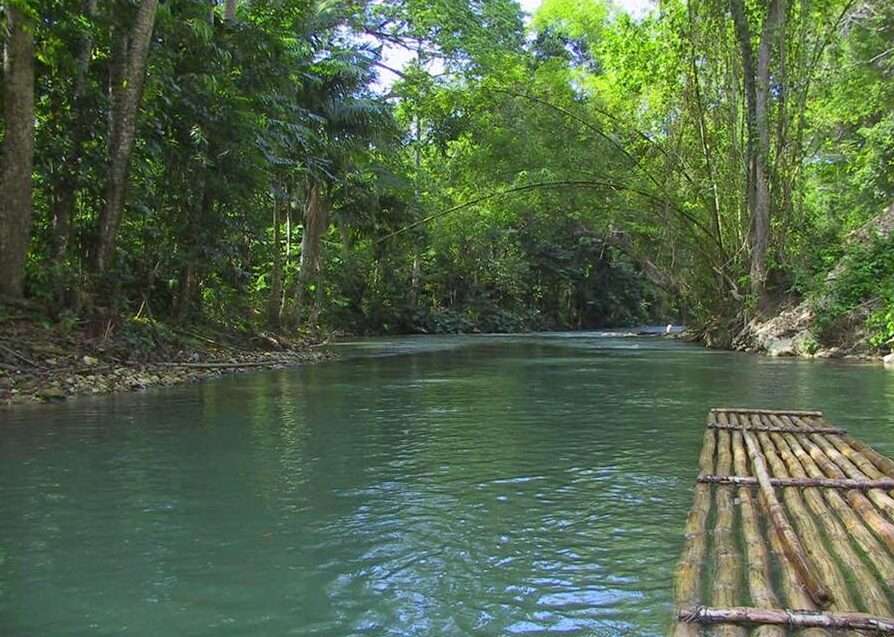 Peppara Wildlife Sanctuary's Wonders