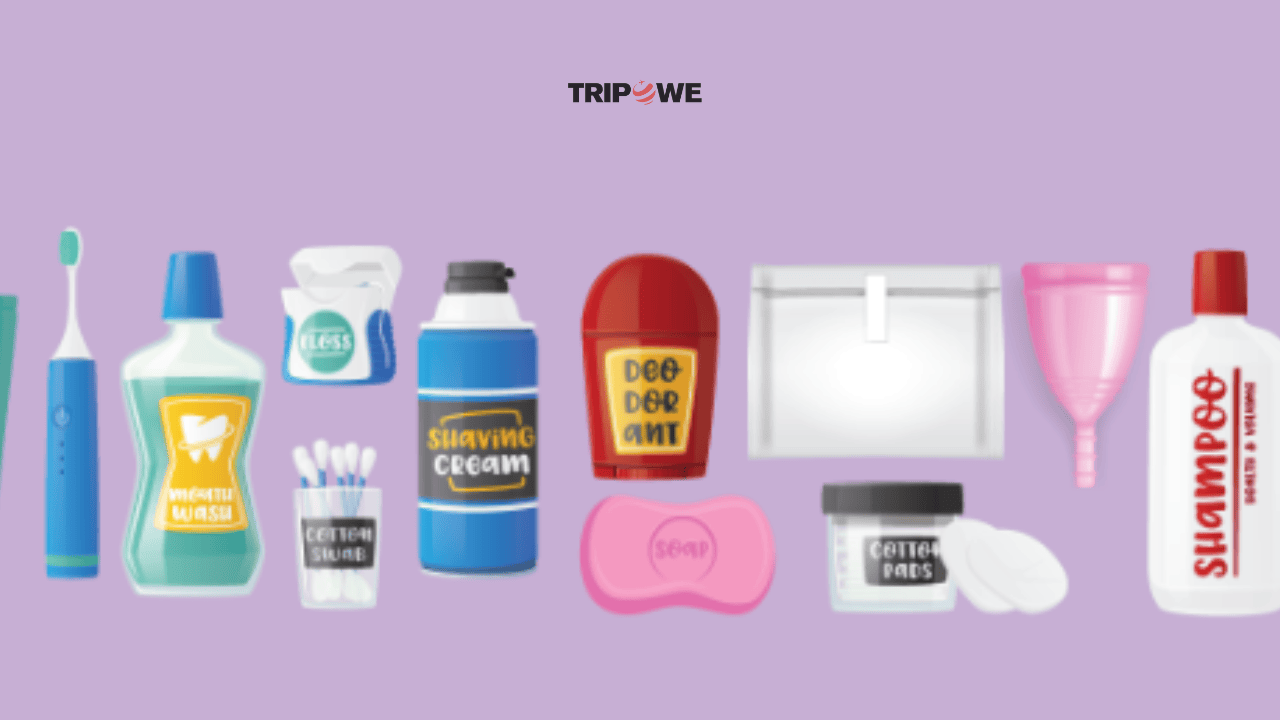 Must have Essentials for Travelers