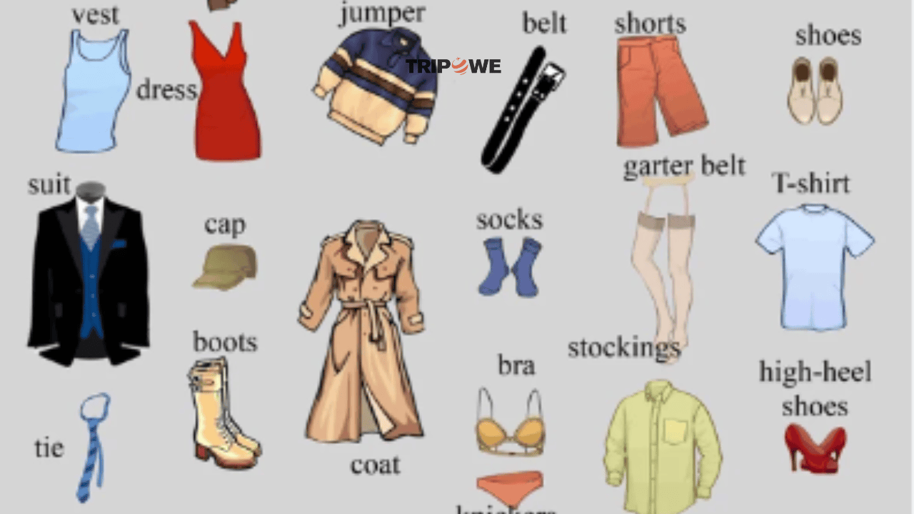 Must have Essentials for Travelers