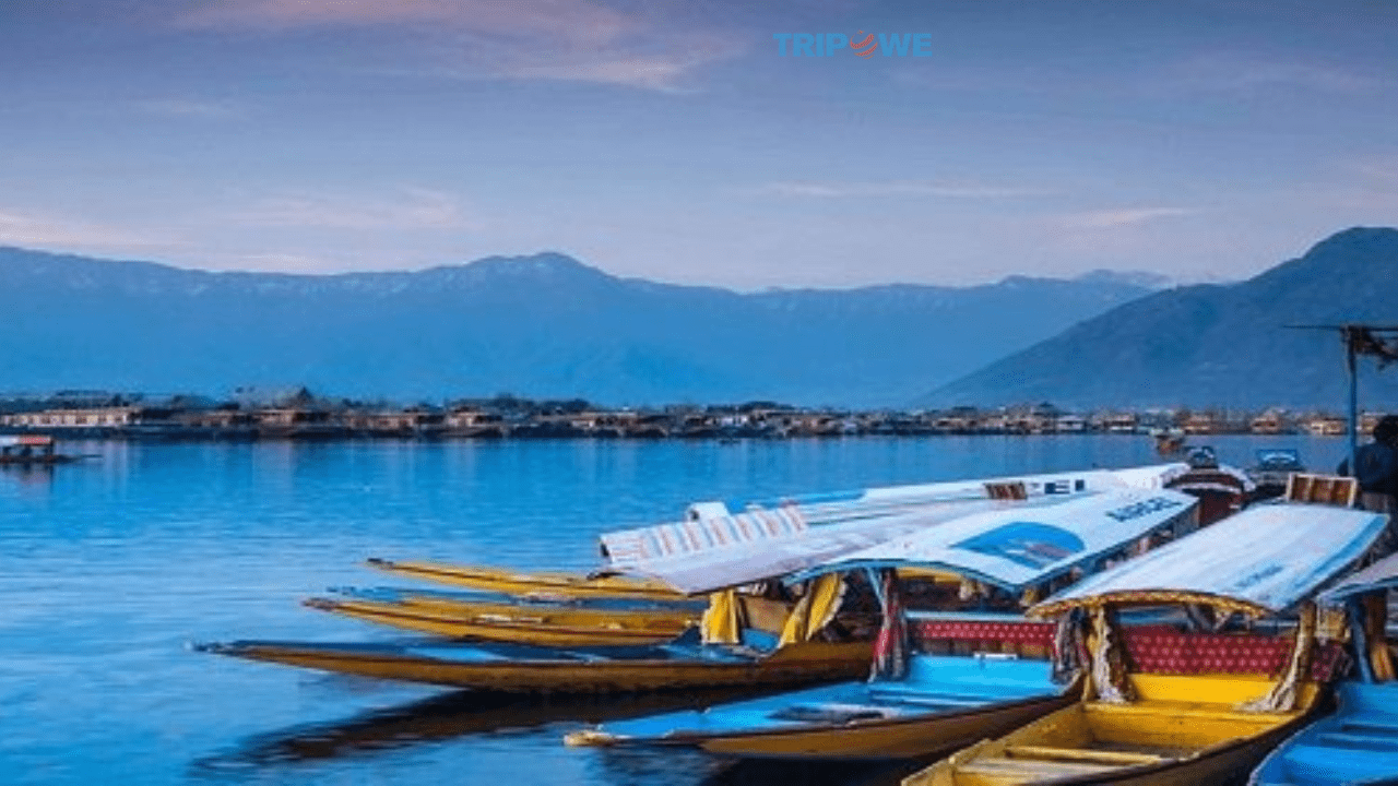 Srinagar: Jewel of the Valley