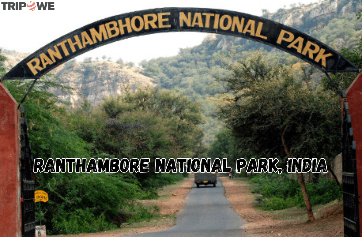 Ranthambore National Park, India