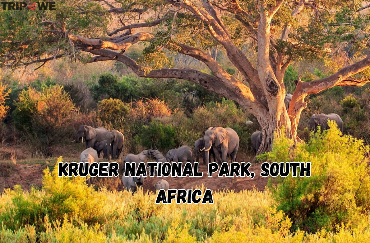Top 10 Wildlife Hotspots Around the Globe