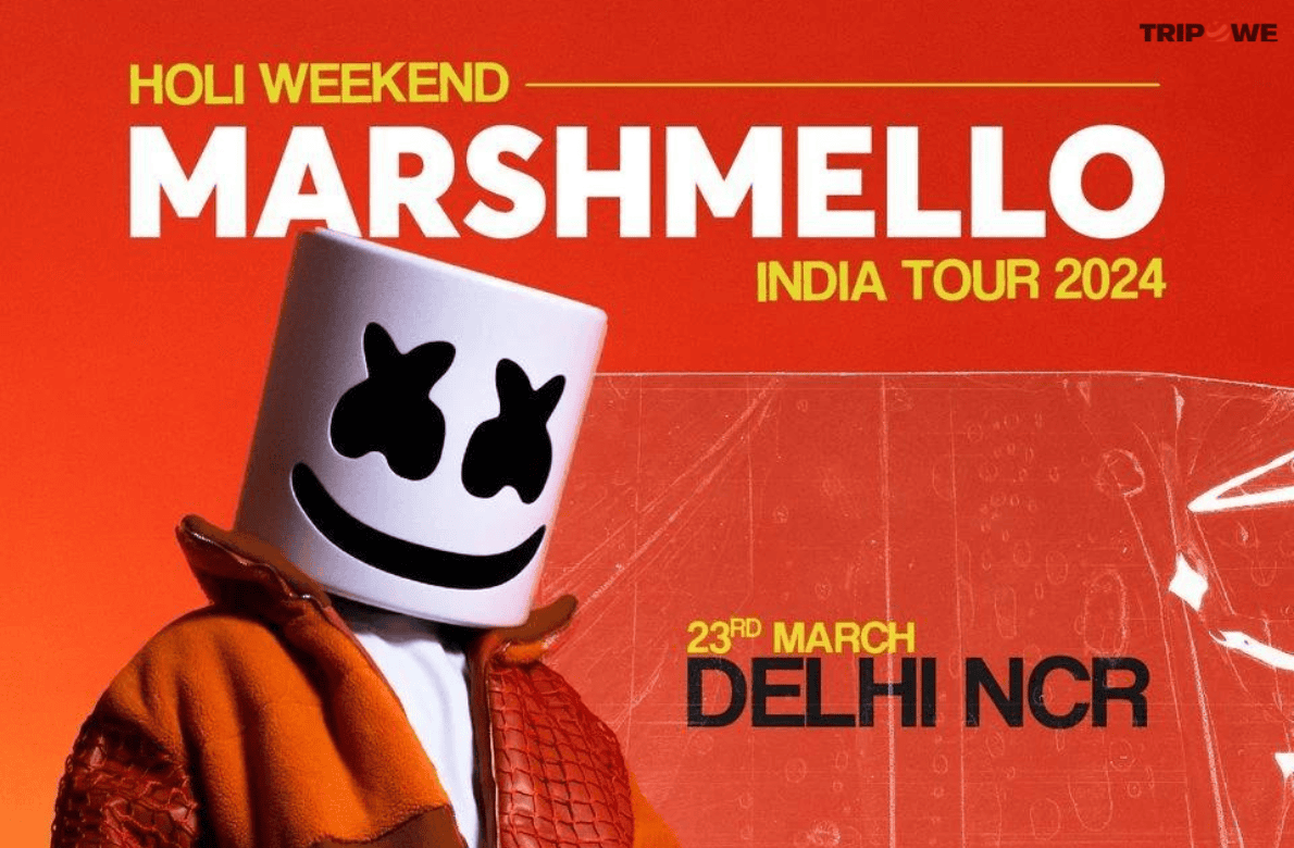Sunburn Arena With Marshmello tripowe.com