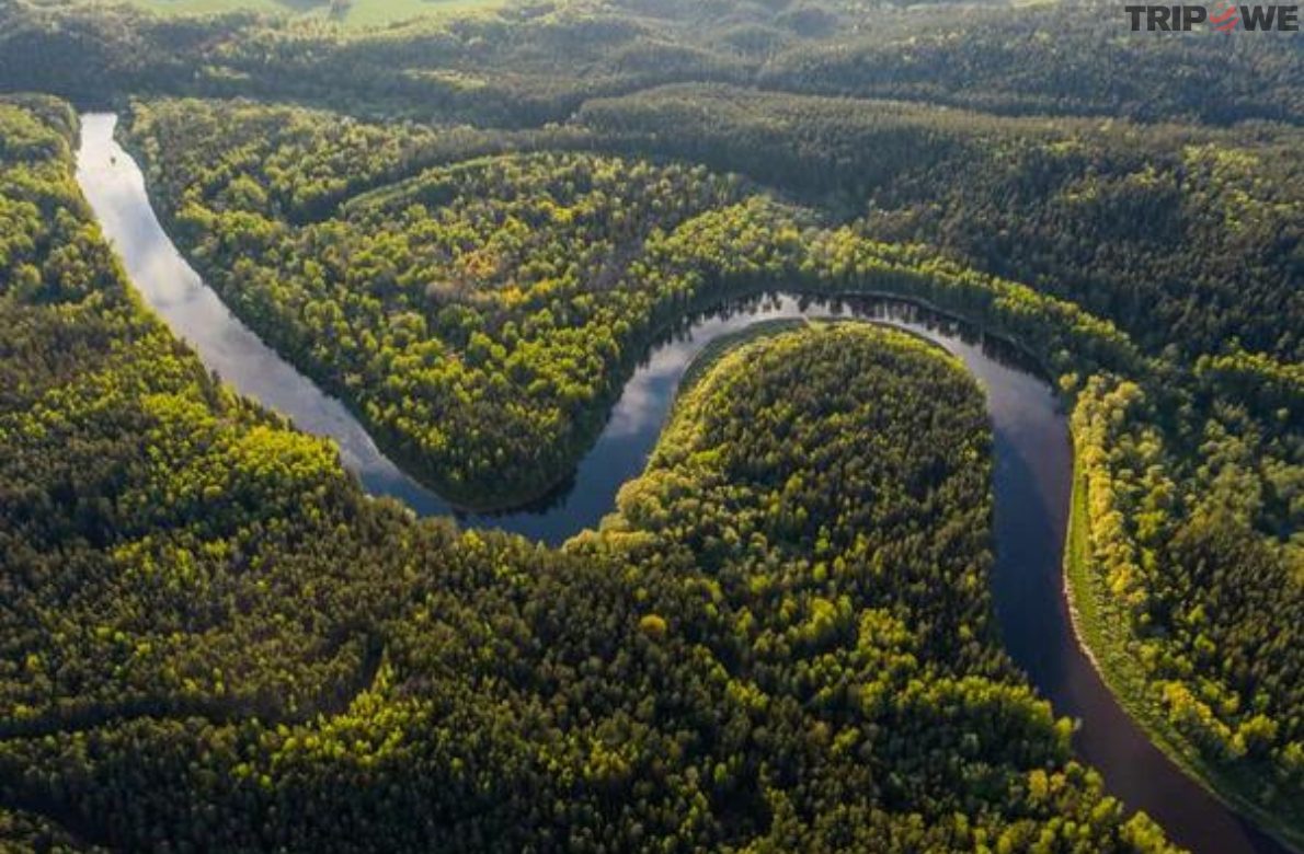 Amazon Rainforest tripowe.com