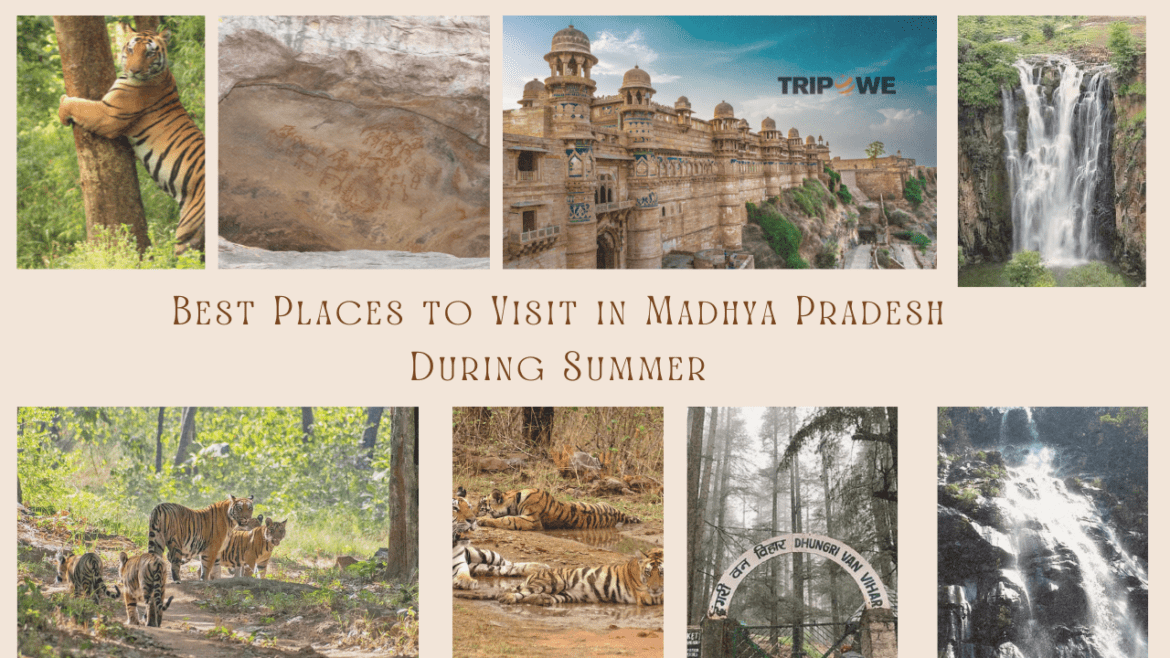 Best Places to Visit in Madhya Pradesh During Summer