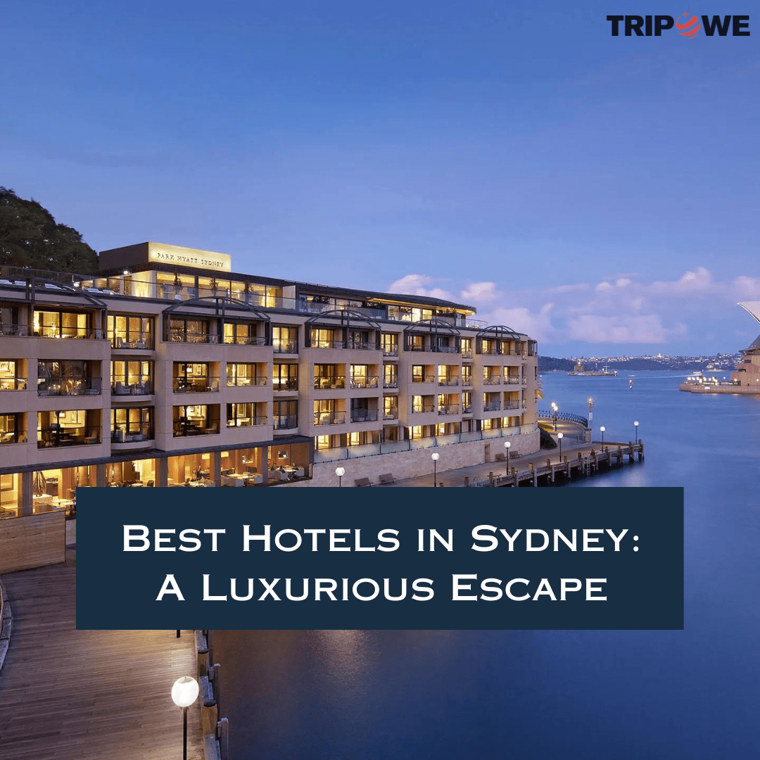 Best Hotels in Sydney: A Luxurious Escape