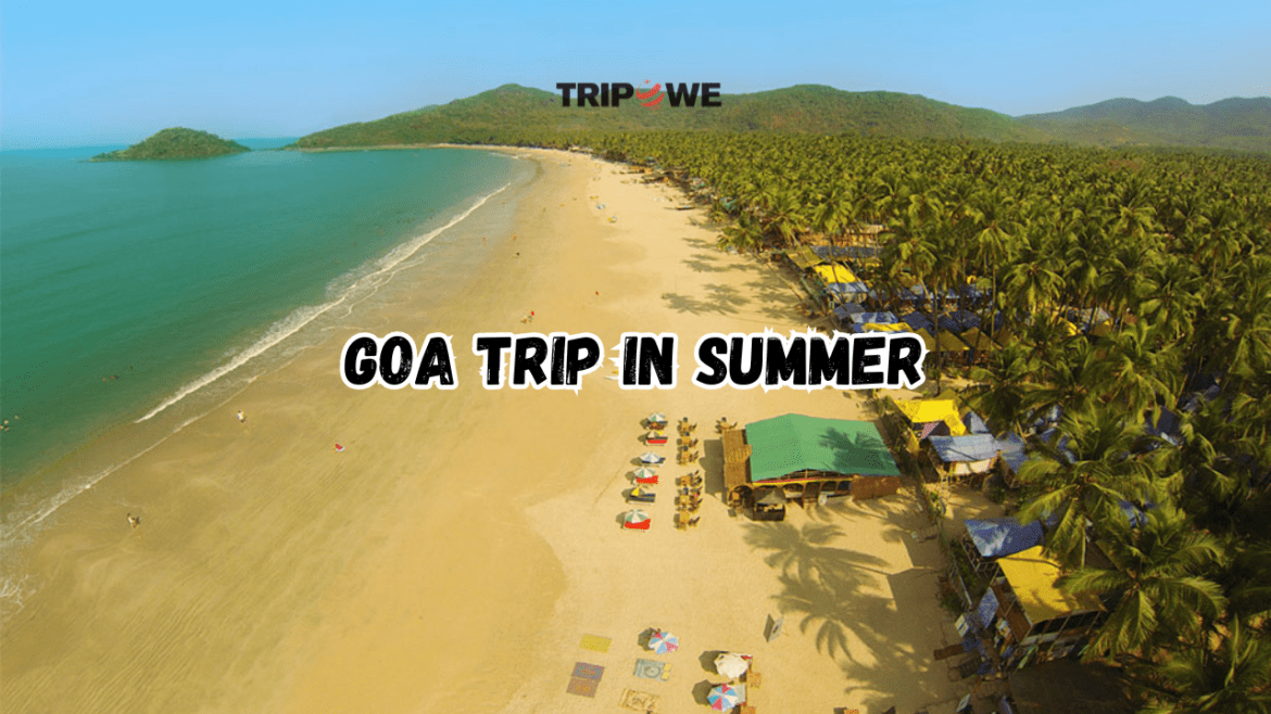 Goa Trip in Summer