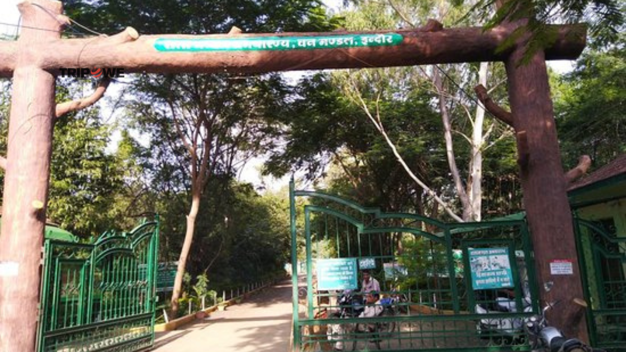 Places to Visit in Indore with Friends