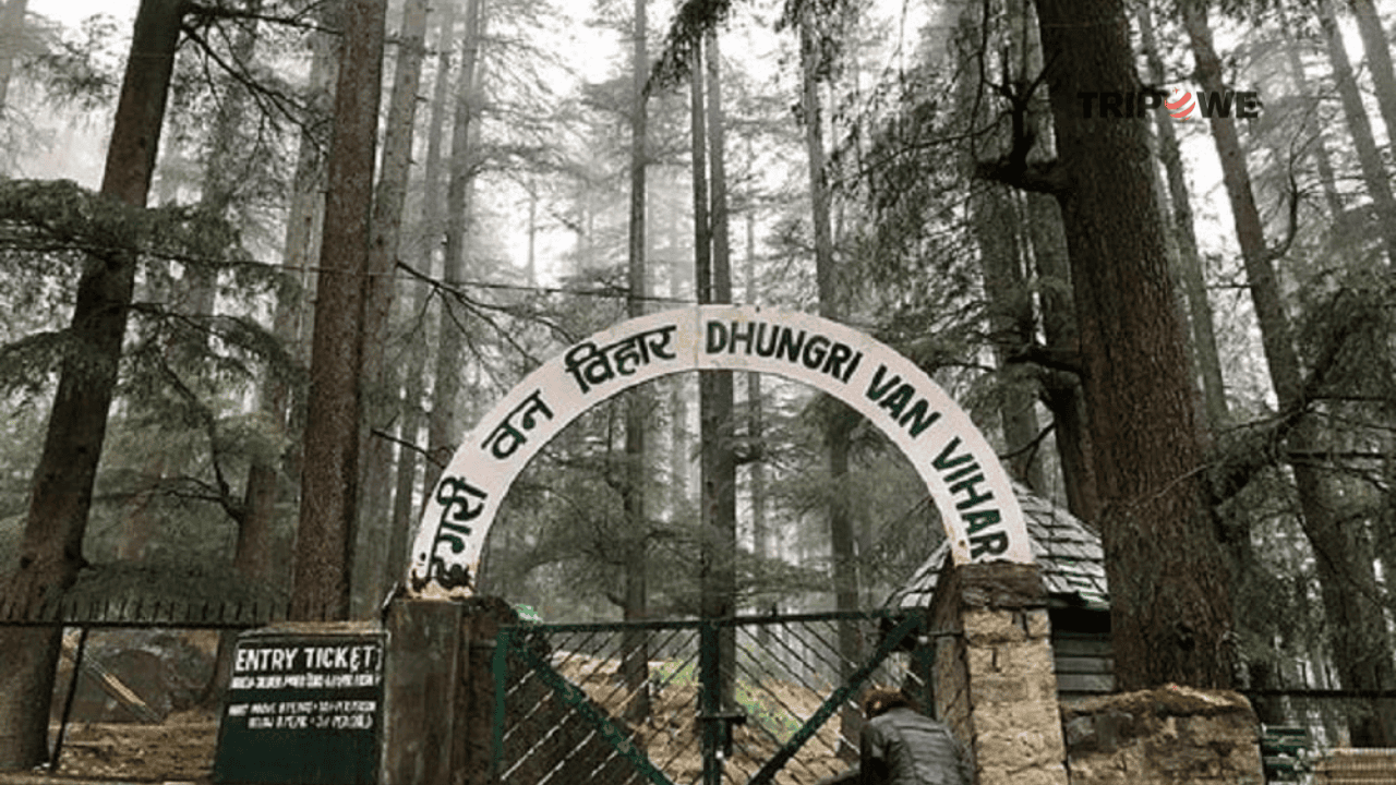 Van Vihar National Park Bhopal