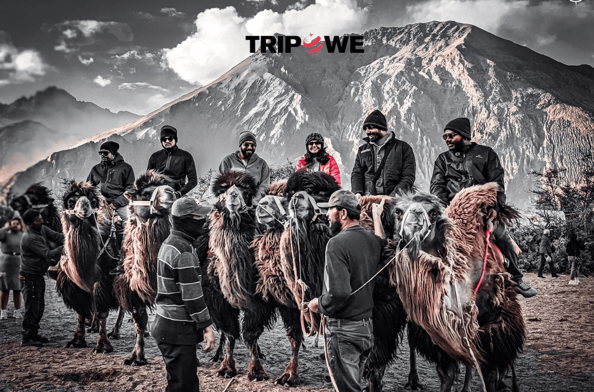 Nubra Valley Leh Laddakh travel Guide