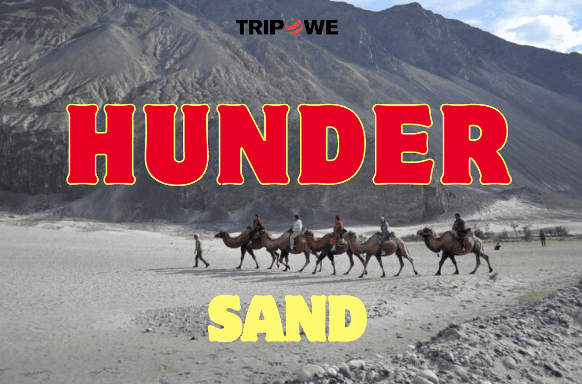 Nubra Valley Leh Laddakh travel Guide