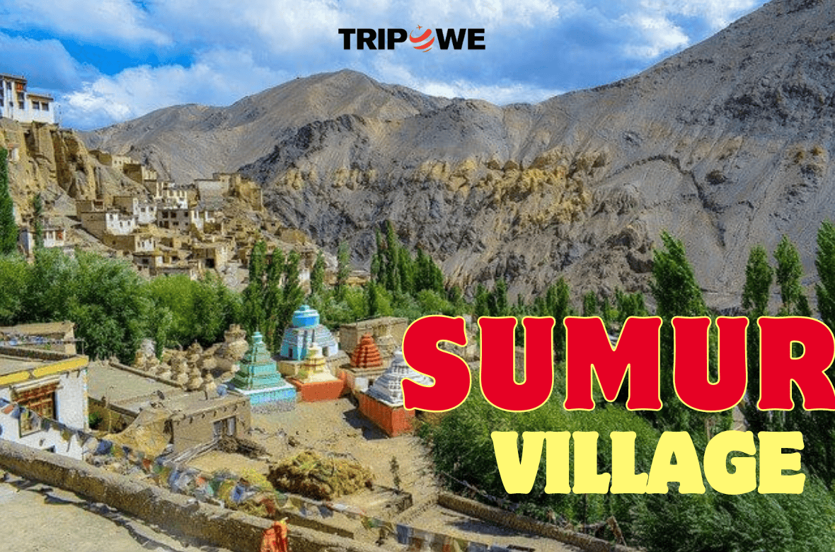 Nubra Valley Leh Laddakh travel Guide
