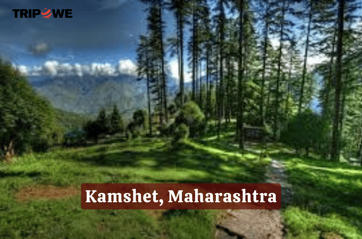 Dhanaulti, Uttarakhand tripowe.com