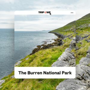 The Burren National Park
