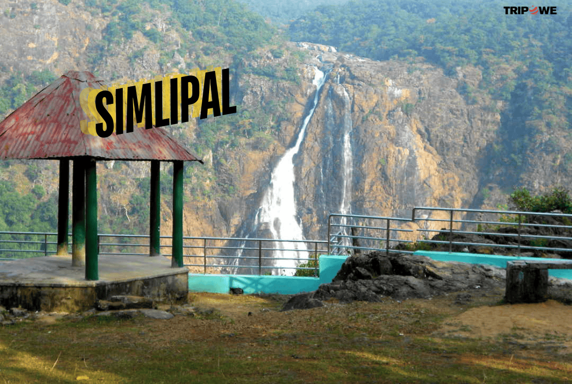 Simlipal tripowe.com