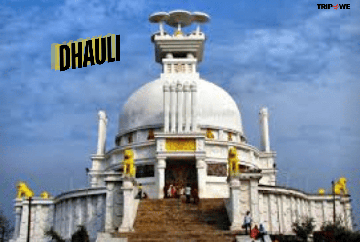 Dhauli tripowe.com