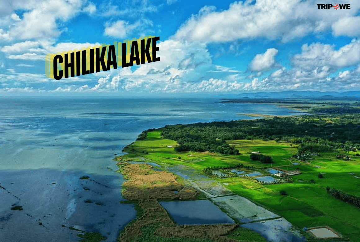 Explore the Famous Places in Odisha