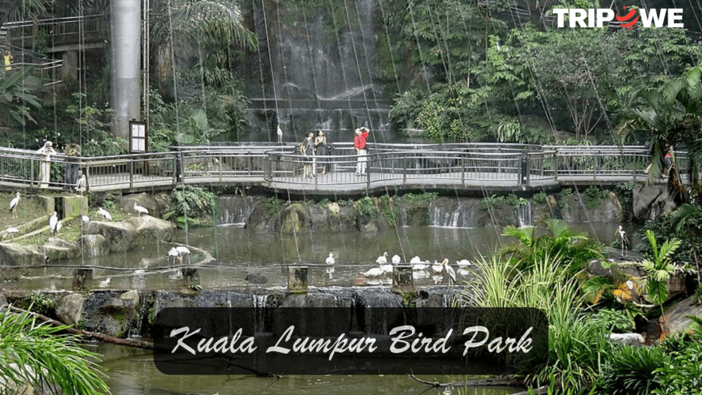 Kuala Lumpur Bird Park