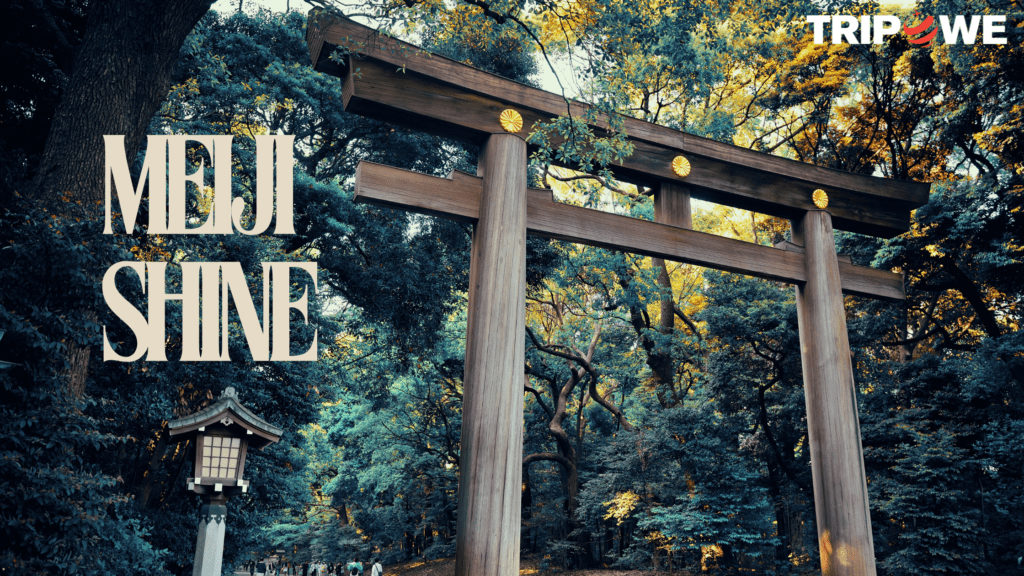 Meiji Shrine 