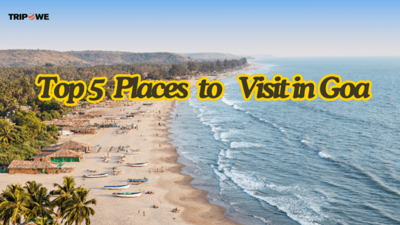 Top 5 Places to Visit in Goa Tripowe.com