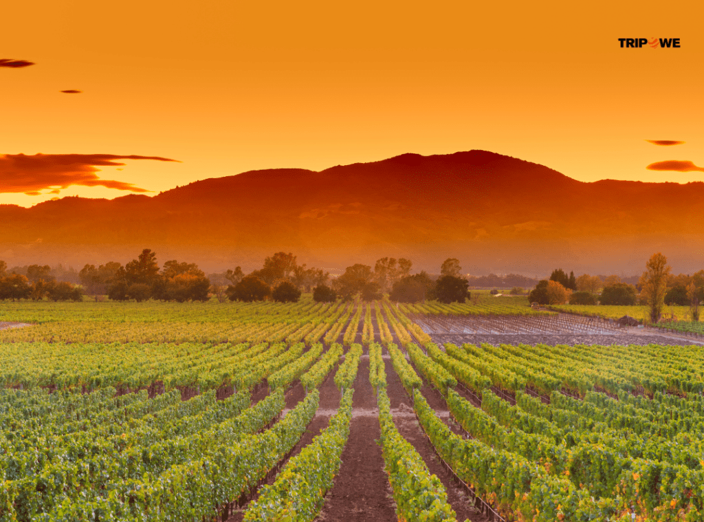 Best Places to visit in September in US