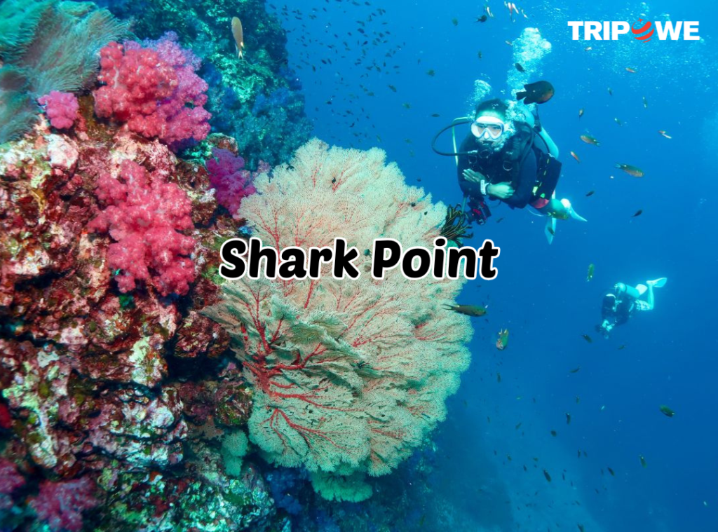Scuba diving spots in Thailand