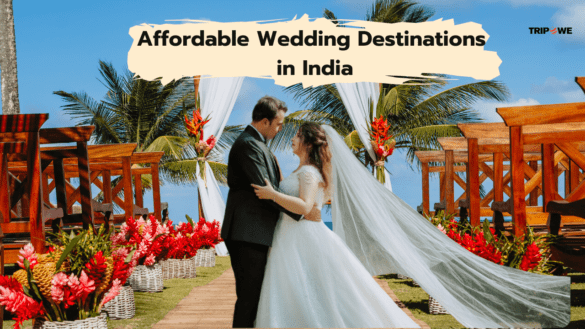 Affordable wedding destination in india