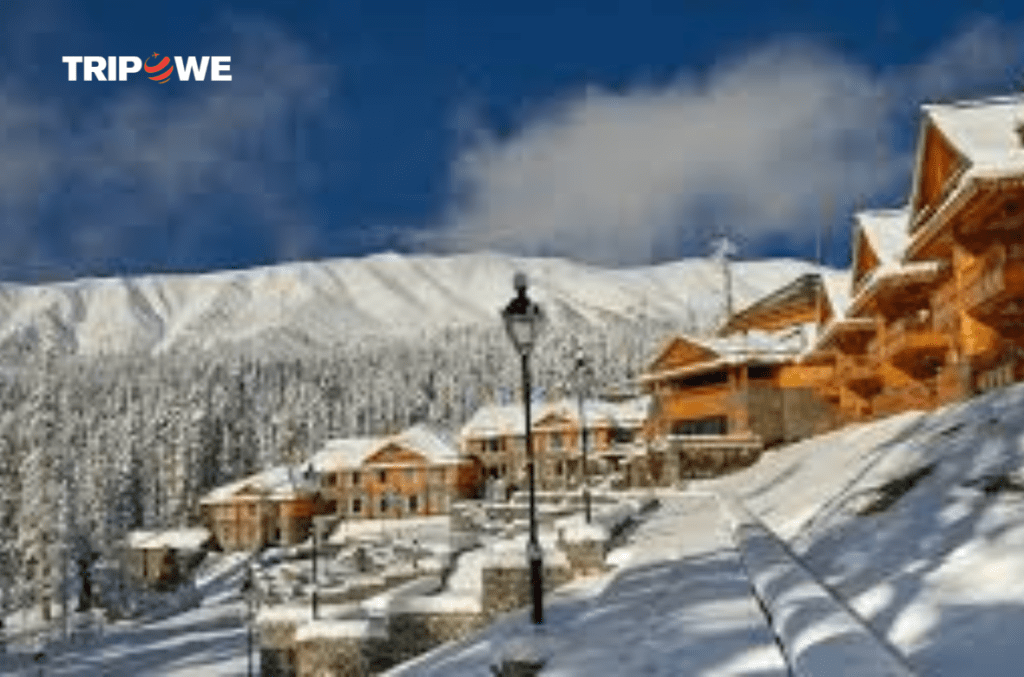 The Khyber Himalayan Resort and Spa tripowe.com