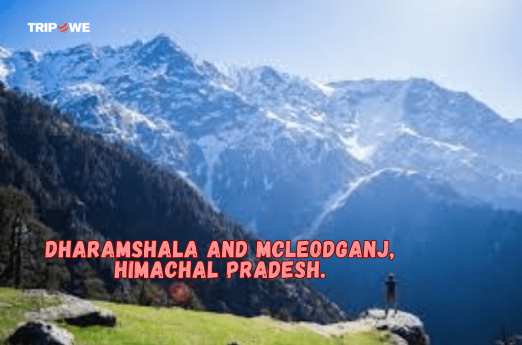 Best places to visit in North India in winter