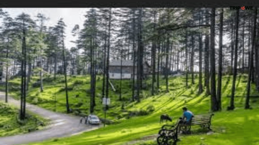 Places to visit in Patnitop