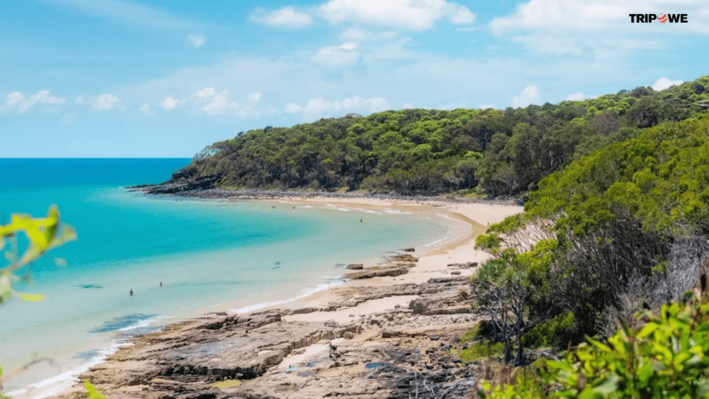 Noosa Main Beach (Noosa Heads)