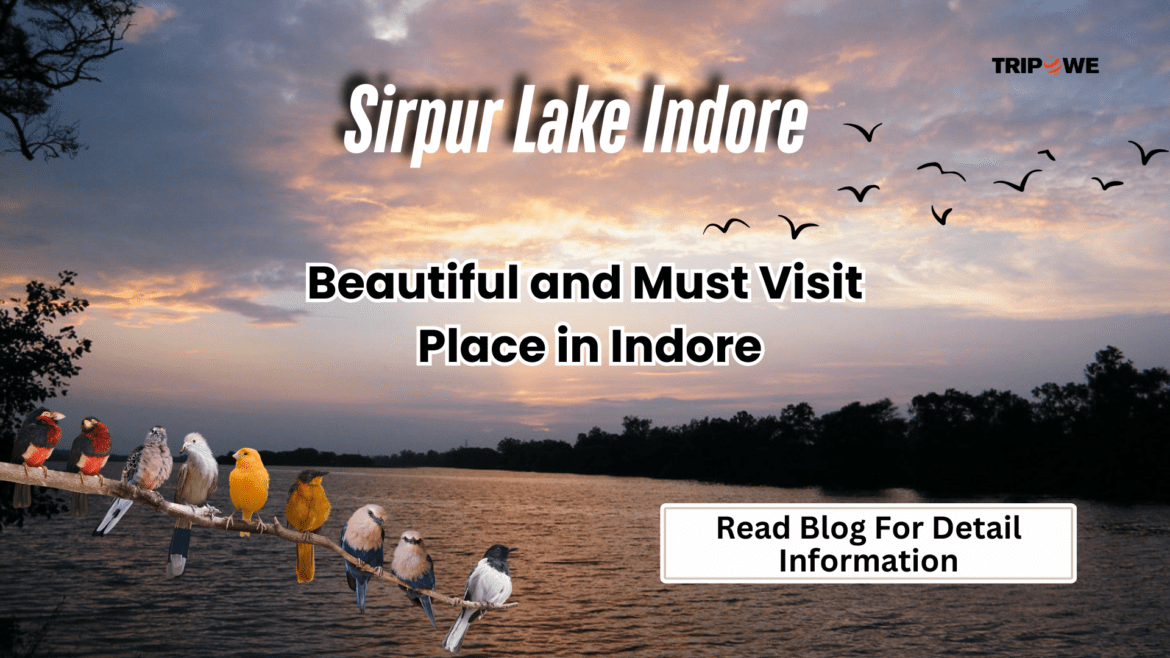 Sirpur Lake Indore-Tripowe.com Sirpur Lake Indore-Tripowe.com