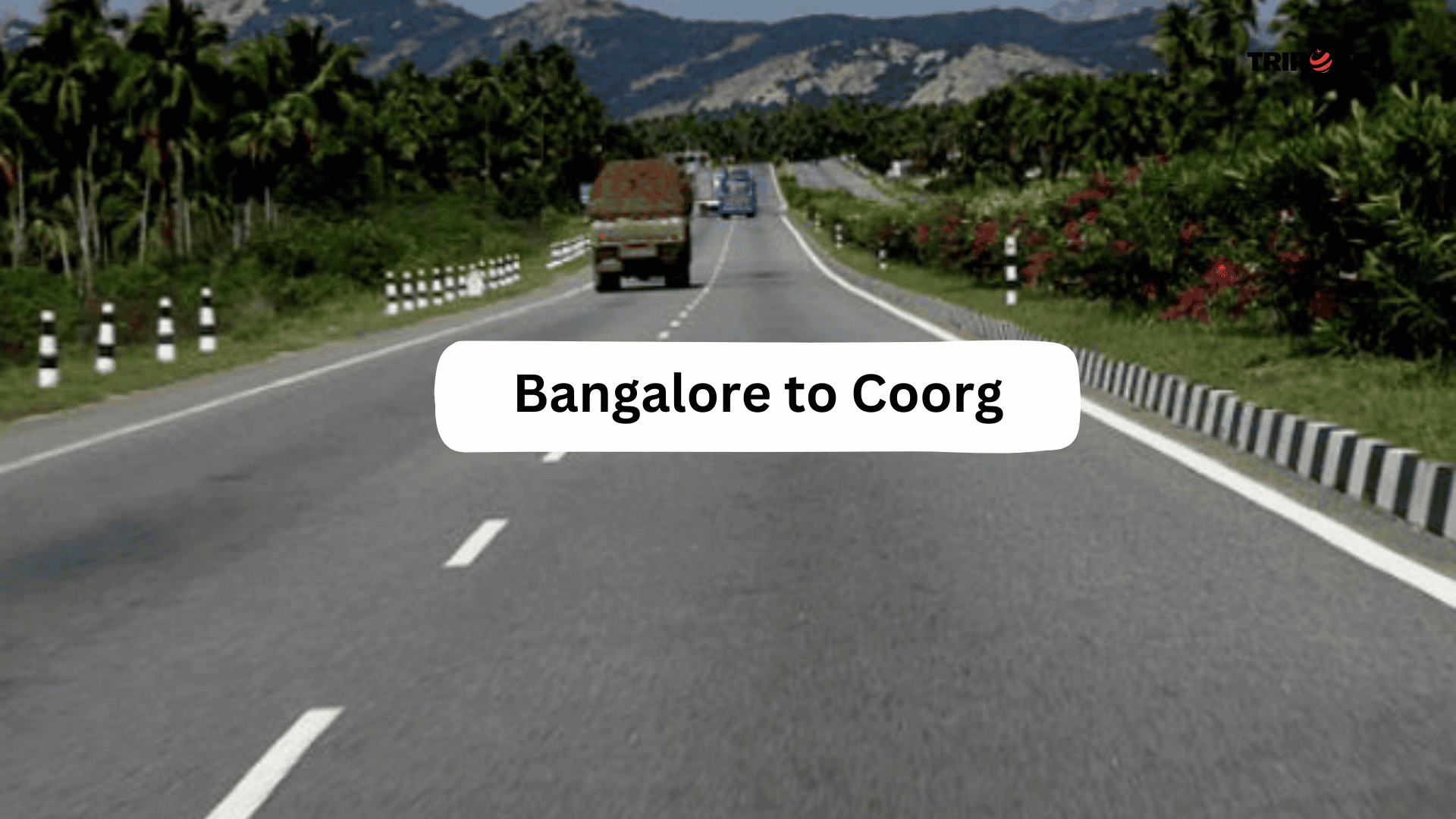 Road Trip Routes 2025-Tripowe.com