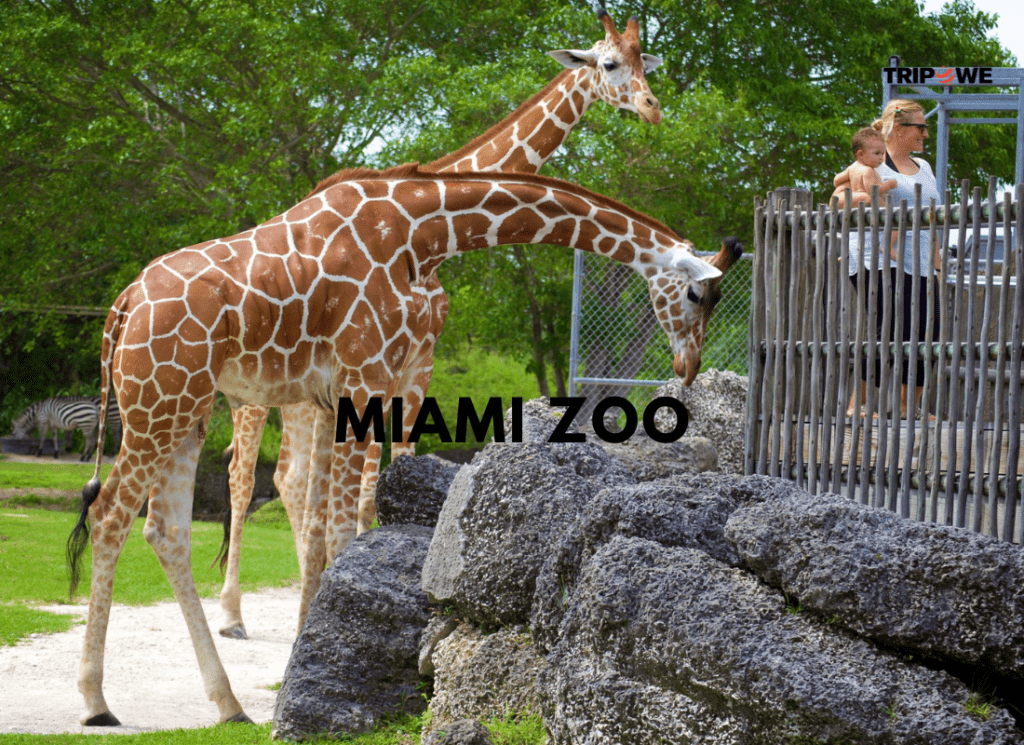 Places to visit in miami 2025