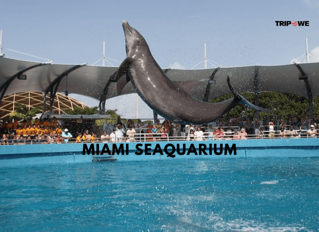 Places to visit in miami 2025