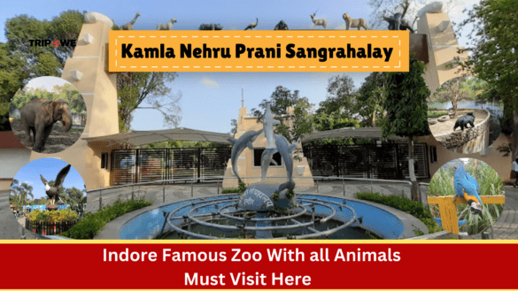 Kamla Nehru Prani Sangrahlay -Tripowe.com