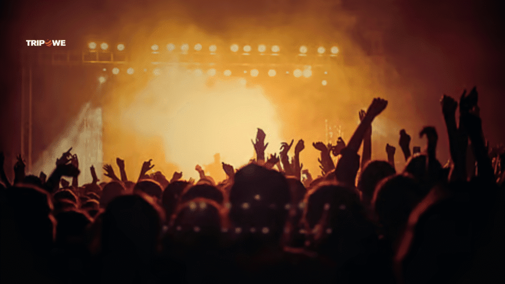 Top Upcoming Concert in delhi -Tripowe.com
